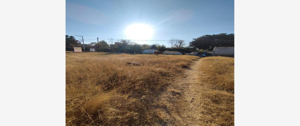 Foto de terreno habitacional en venta en  , tlalixtac de cabrera, tlalixtac de cabrera, oaxaca, 27003924 No. 04