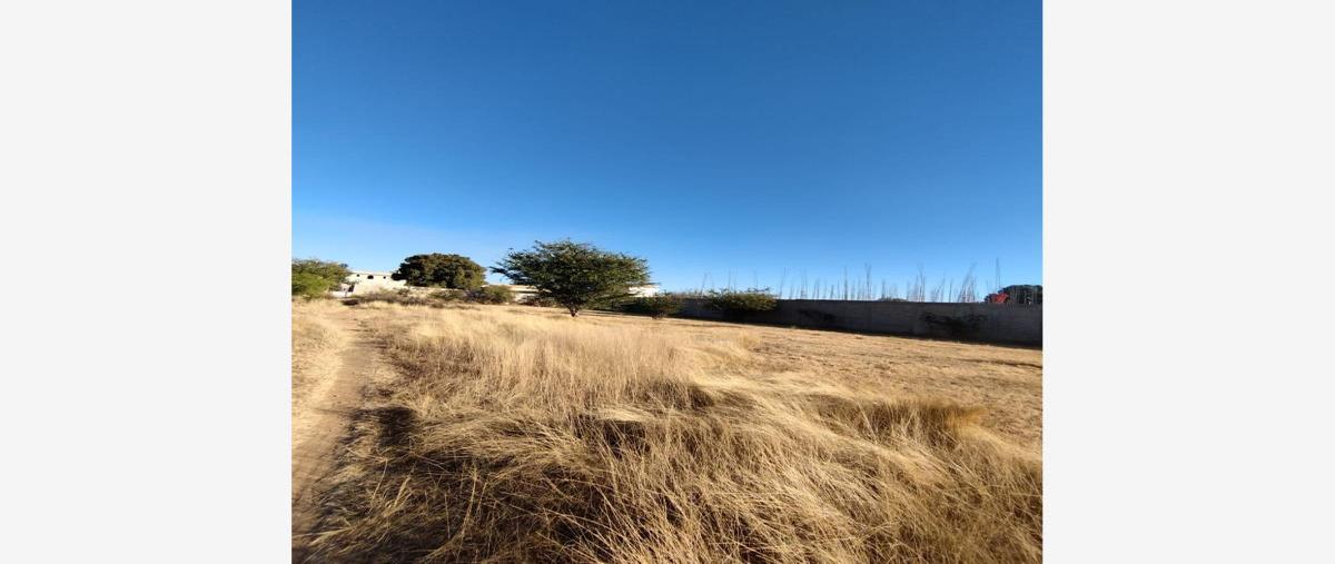 Foto de terreno habitacional en venta en  , tlalixtac de cabrera, tlalixtac de cabrera, oaxaca, 27003925 No. 05