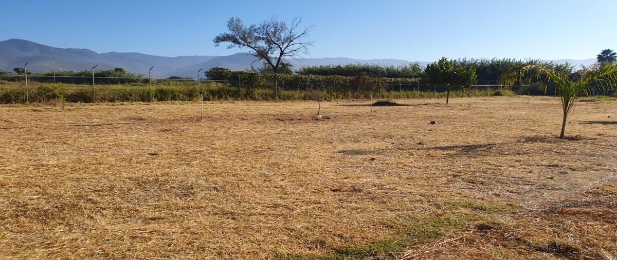 Foto de terreno habitacional en venta en  , tlalixtac de cabrera, tlalixtac de cabrera, oaxaca, 0 No. 03