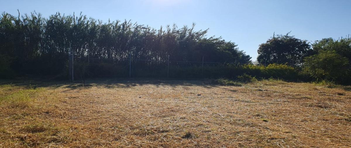 Foto de terreno habitacional en venta en  , tlalixtac de cabrera, tlalixtac de cabrera, oaxaca, 0 No. 05