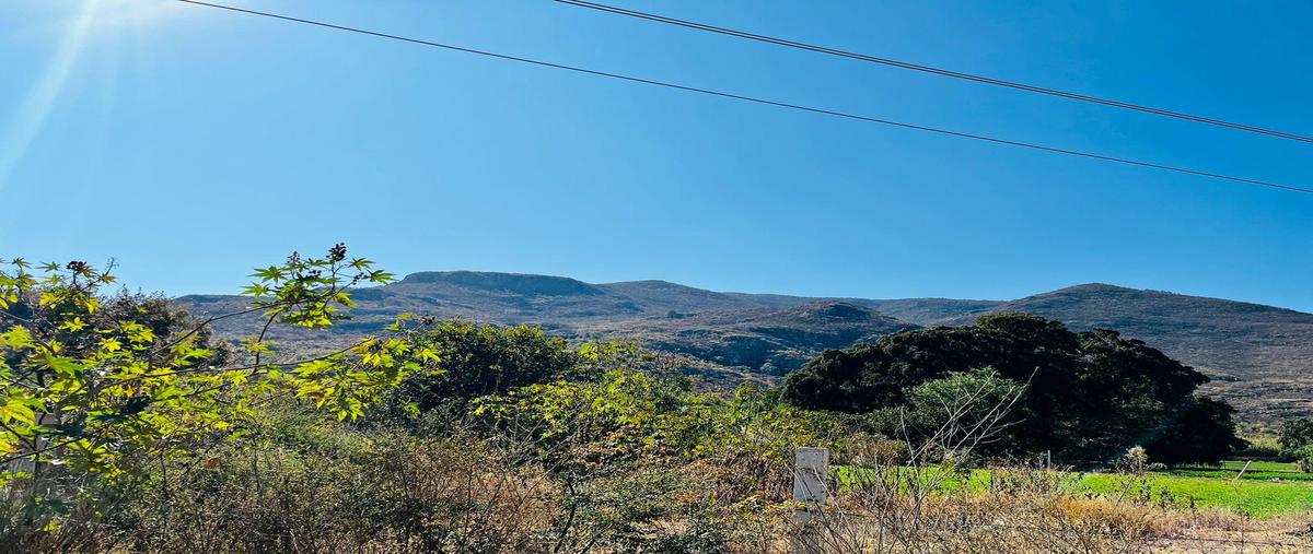 Foto de terreno habitacional en venta en  , tlalixtac de cabrera, tlalixtac de cabrera, oaxaca, 0 No. 05