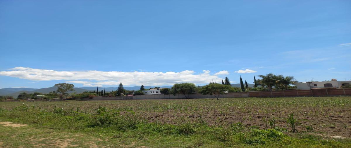 Foto de terreno habitacional en venta en  , tlalixtac de cabrera, tlalixtac de cabrera, oaxaca, 0 No. 03