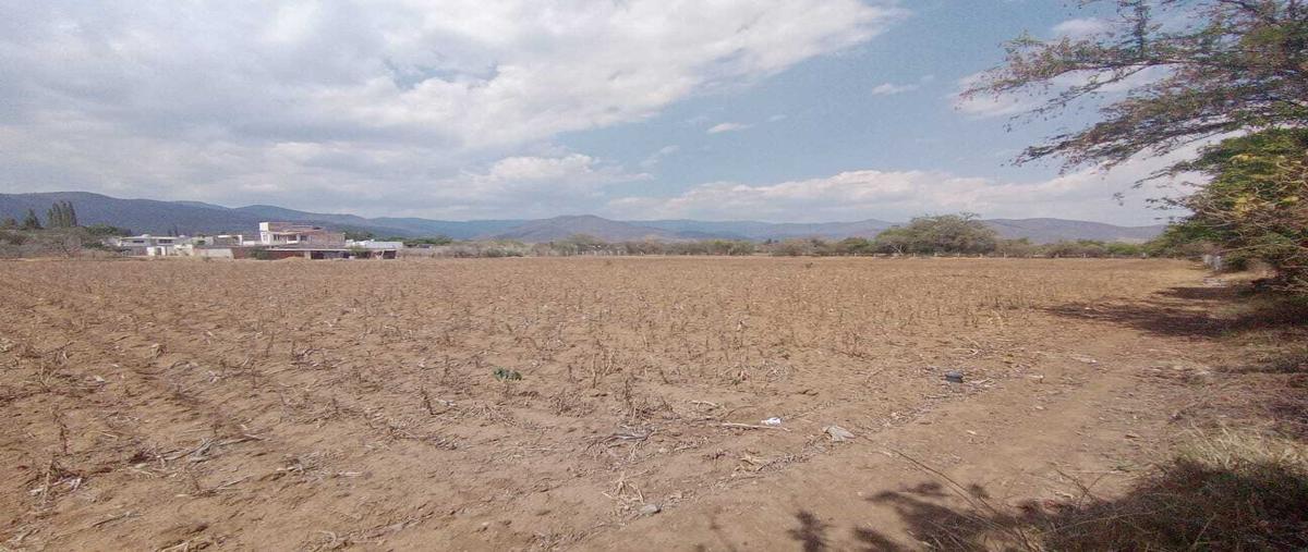 Foto de terreno habitacional en venta en  , tlalixtac de cabrera, tlalixtac de cabrera, oaxaca, 30258030 No. 03