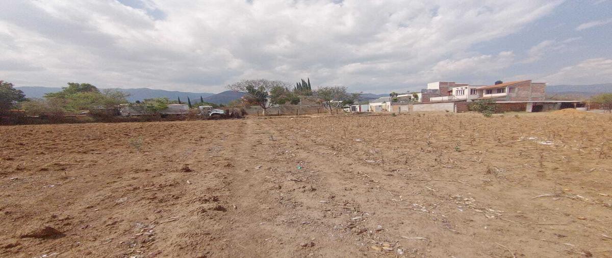 Foto de terreno habitacional en venta en  , tlalixtac de cabrera, tlalixtac de cabrera, oaxaca, 30258030 No. 04