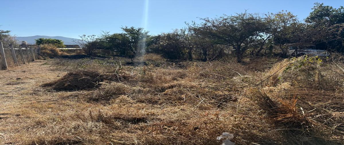 Foto de terreno habitacional en venta en  , tlalixtac de cabrera, tlalixtac de cabrera, oaxaca, 0 No. 03