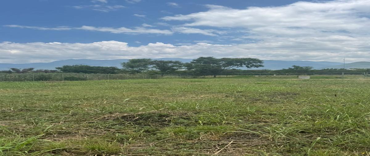 Foto de terreno habitacional en venta en  , tlalixtac de cabrera, tlalixtac de cabrera, oaxaca, 0 No. 04