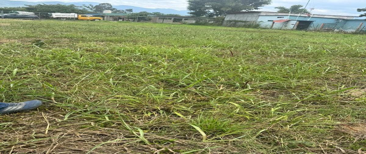 Foto de terreno habitacional en venta en  , tlalixtac de cabrera, tlalixtac de cabrera, oaxaca, 0 No. 05