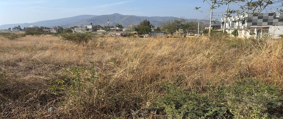 Foto de terreno habitacional en venta en  , tlalixtac de cabrera, tlalixtac de cabrera, oaxaca, 0 No. 03