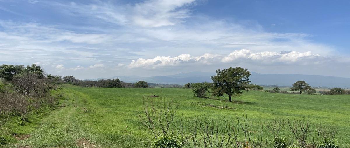 Foto de terreno habitacional en venta en  , tlalmanalco, tlalmanalco, méxico, 30288279 No. 05