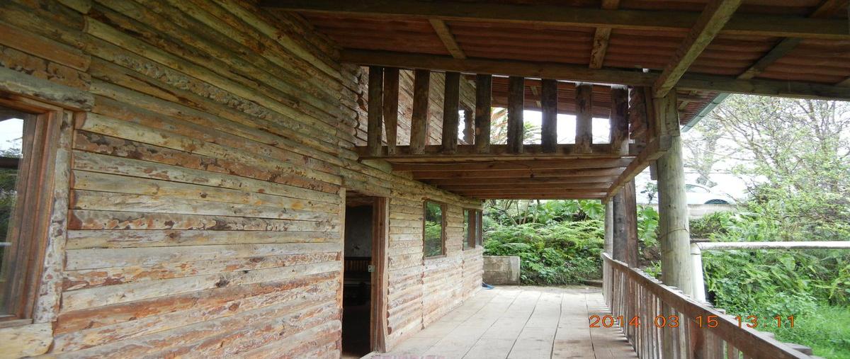 Foto de casa en venta en  , tlalnelhuayocan, tlalnelhuayocan, veracruz de ignacio de la llave, 0 No. 03