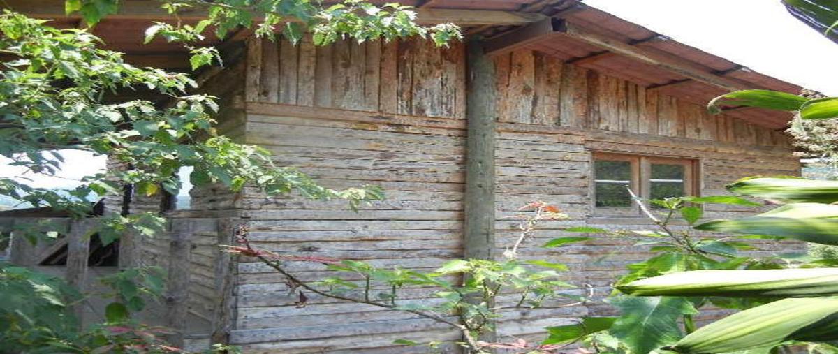Foto de casa en , tlalnelhuayocan, tlalnelhuayocan, veracruz de ignacio de la llave, 0 foto 02 Foto de casa en renta en , tlalnelhuayocan, tlalnelhuayocan, veracruz de ignacio de la llave, 0 No. 02