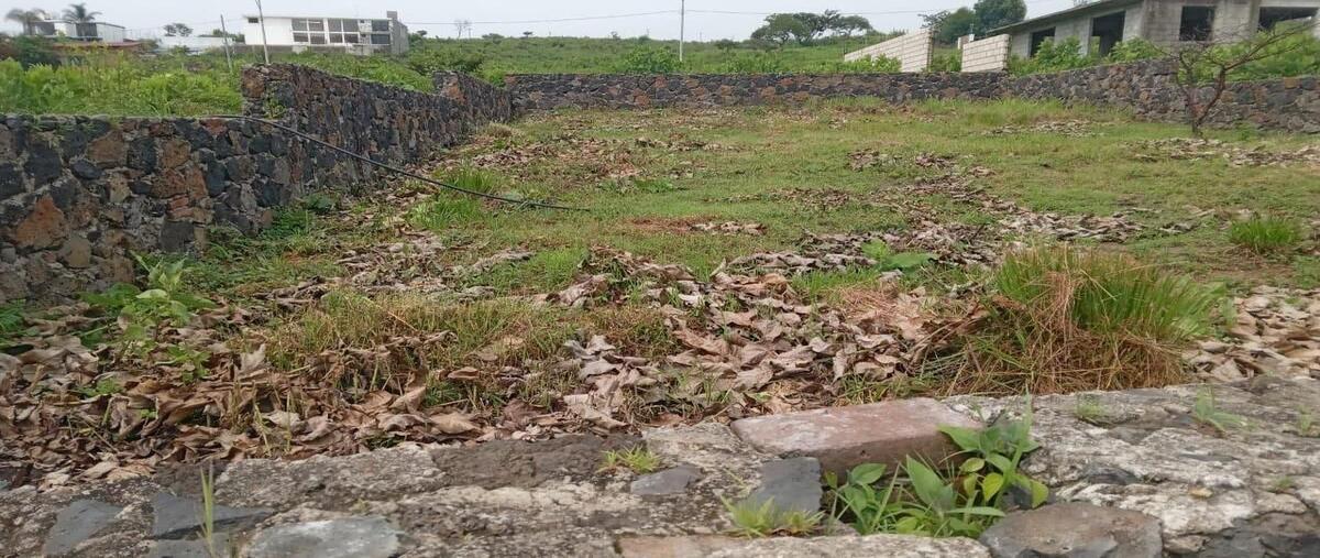 Foto de terreno habitacional en venta en tlalnepantla , tlayacapan centro, tlayacapan, morelos, 0 No. 03