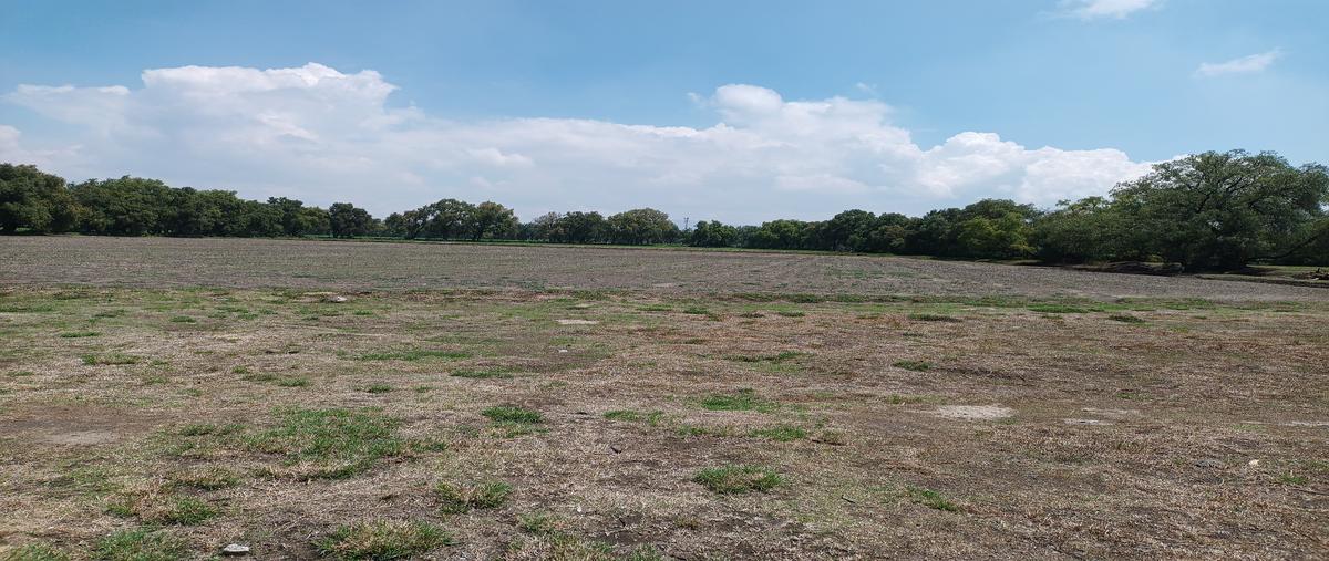 Foto de terreno habitacional en venta en tlaloc , ampliación residencial san ángel, tizayuca, hidalgo, 30527035 No. 05