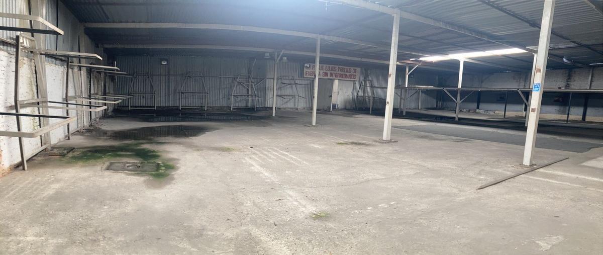 Foto de bodega en renta en  , tlalpan centro, tlalpan, df / cdmx, 28495706 No. 03