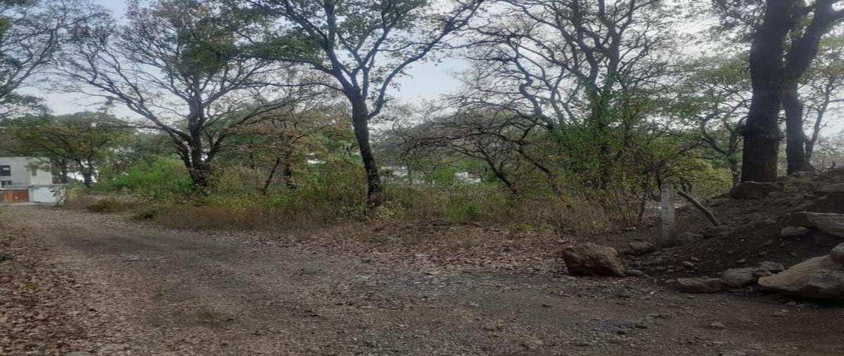 Foto de terreno habitacional en venta en tlaltepetl, tepoztlan mor -, san juan tlacotenco, tepoztlán, morelos, 26674769 No. 01