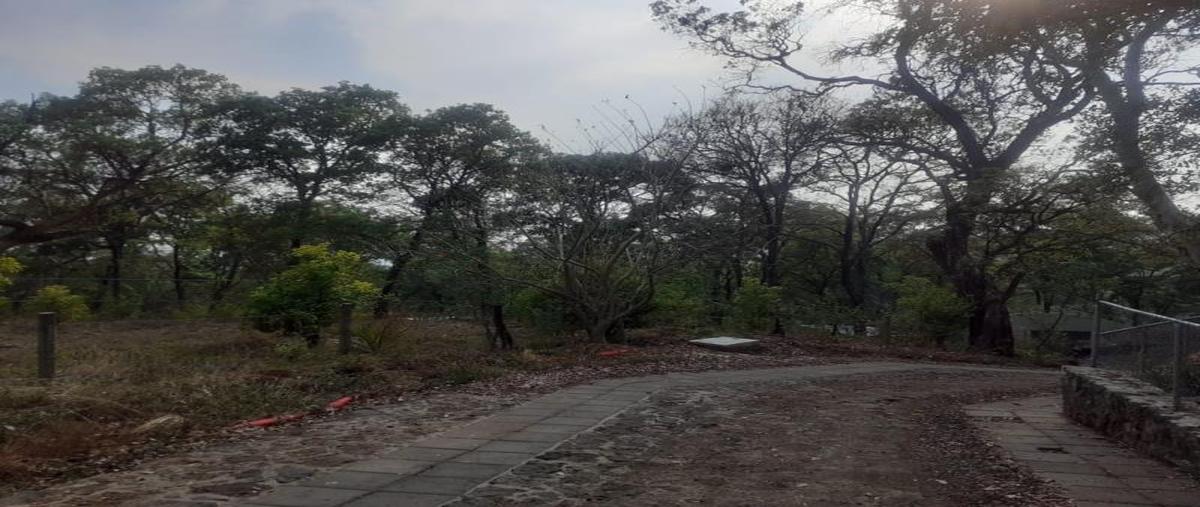 Foto de terreno habitacional en venta en tlaltepetl, tepoztlan mor -, san juan tlacotenco, tepoztlán, morelos, 26674769 No. 02