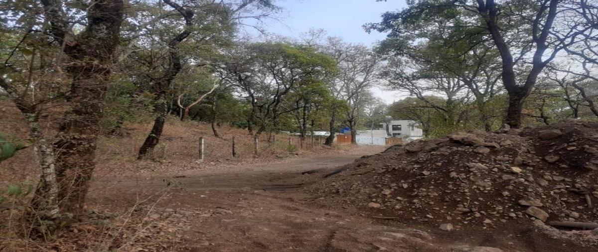 Foto de terreno habitacional en venta en tlaltepetl, tepoztlan mor -, san juan tlacotenco, tepoztlán, morelos, 26674769 No. 03