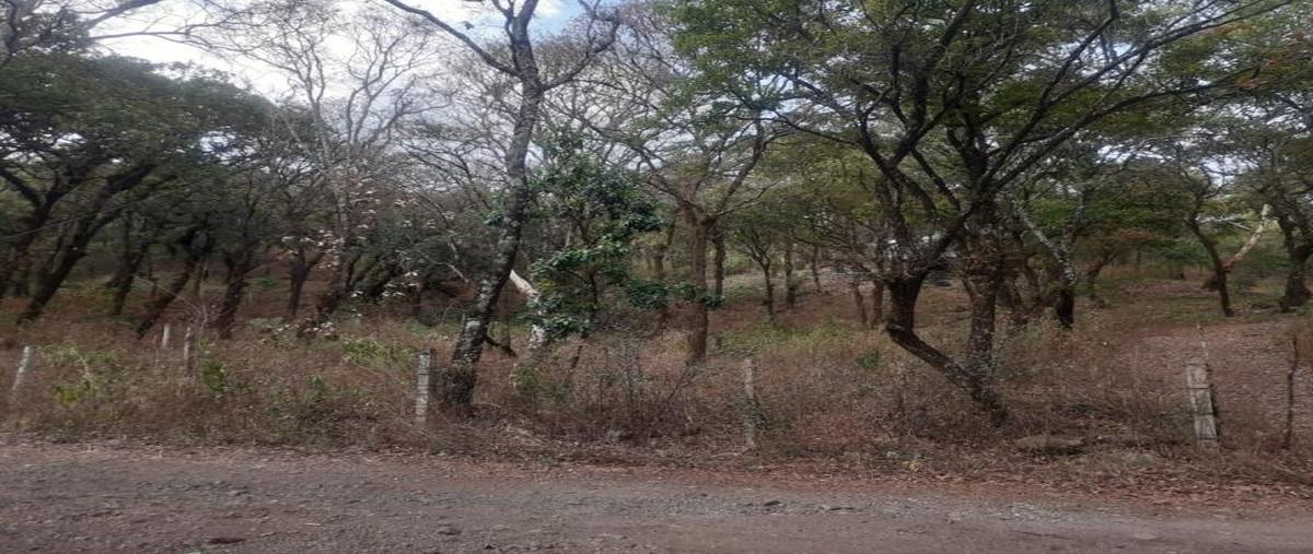 Foto de terreno habitacional en venta en tlaltepetl, tepoztlan mor -, san juan tlacotenco, tepoztlán, morelos, 26674769 No. 04