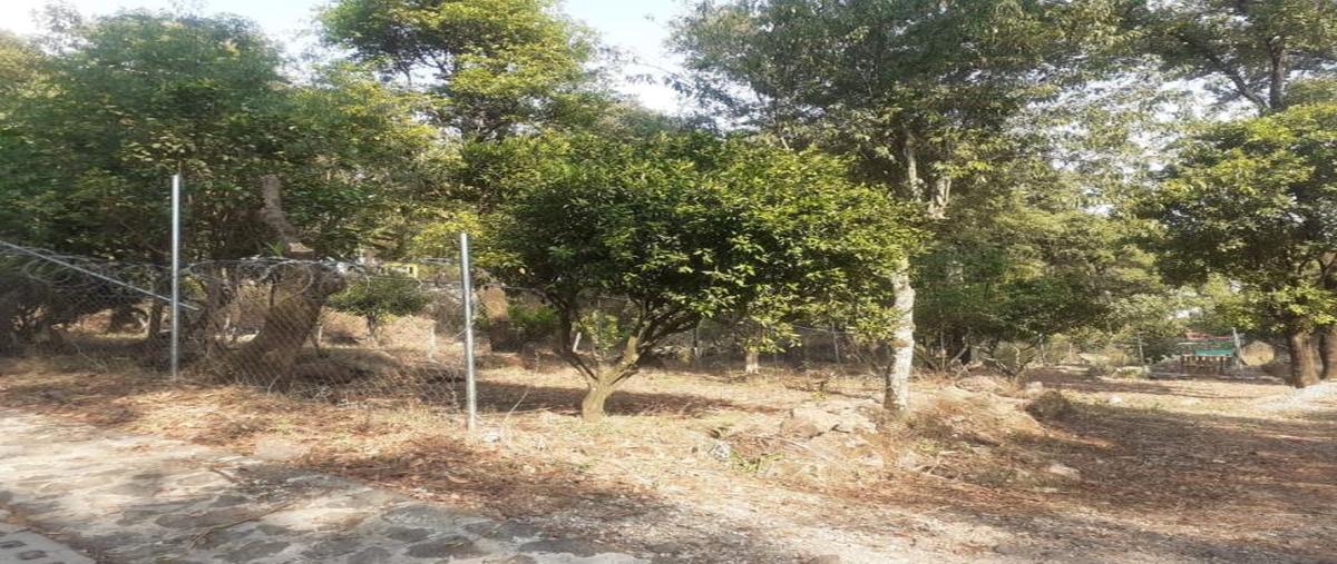 Foto de terreno habitacional en venta en tlaltepetl, tepoztlan mor -, san juan tlacotenco, tepoztlán, morelos, 26674769 No. 05