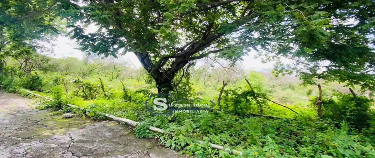 Foto de terreno habitacional en tlaltizapan , tlaltizapán centro, tlaltizapán de zapata, morelos, 0 foto 03 Foto de terreno habitacional en venta en tlaltizapan , tlaltizapán centro, tlaltizapán de zapata, morelos, 0 No. 03