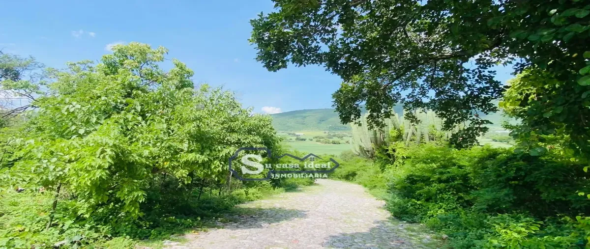 Foto de terreno habitacional en tlaltizapan , tlaltizapán centro, tlaltizapán de zapata, morelos, 0 foto 04 Foto de terreno habitacional en venta en tlaltizapan , tlaltizapán centro, tlaltizapán de zapata, morelos, 0 No. 04