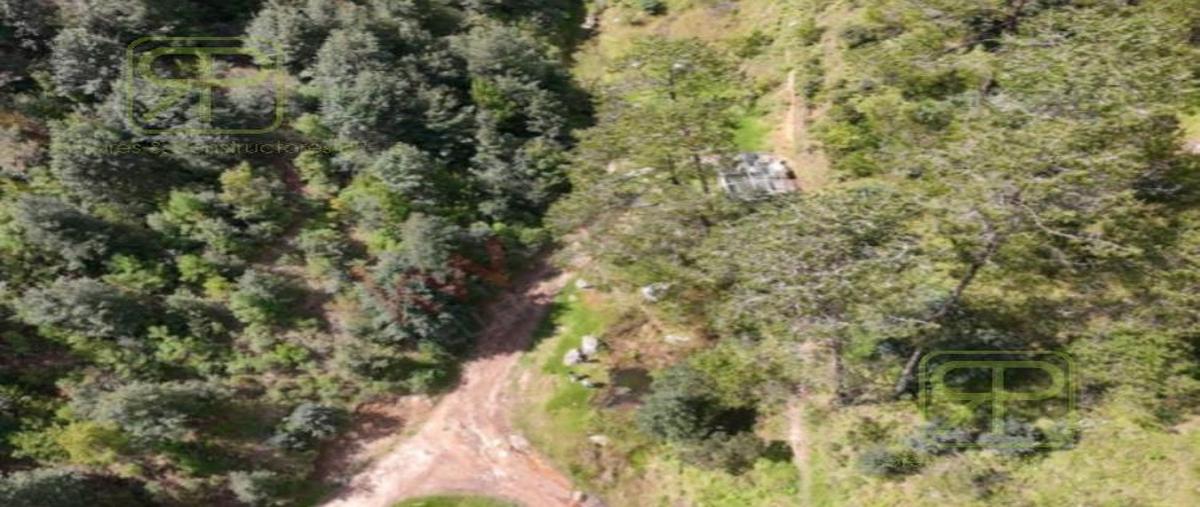 Foto de terreno habitacional en venta en  , tlamimilolpa, acaxochitlán, hidalgo, 30573587 No. 03