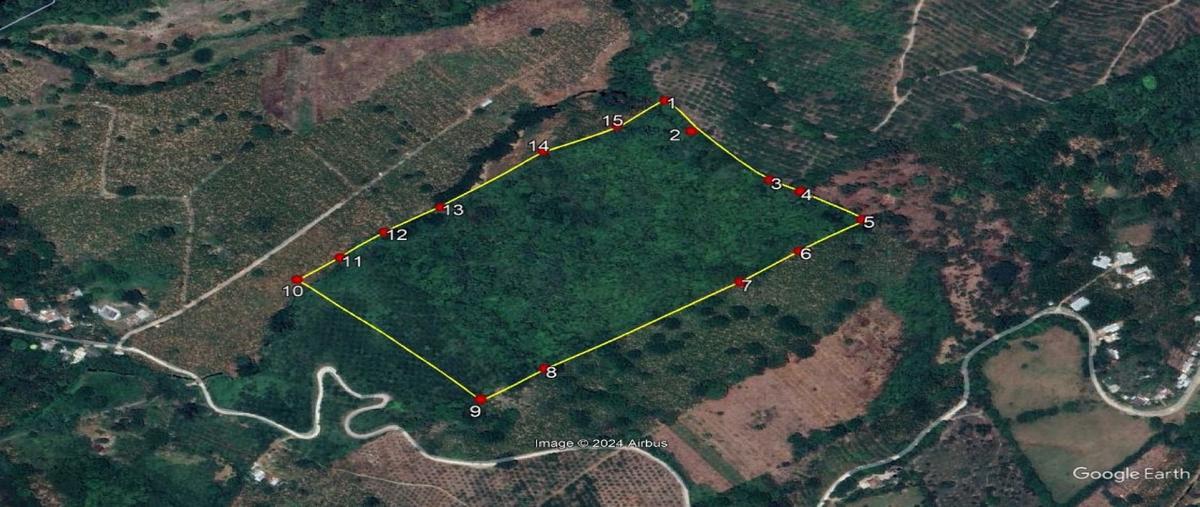 Foto de terreno habitacional en venta en  , tlapacoyan centro, tlapacoyan, veracruz de ignacio de la llave, 0 No. 05