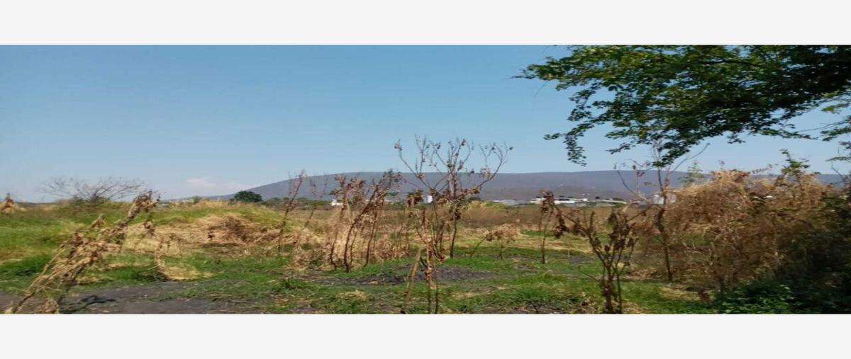Foto de terreno habitacional en venta en  , tlaquiltenango, tlaquiltenango, morelos, 0 No. 05