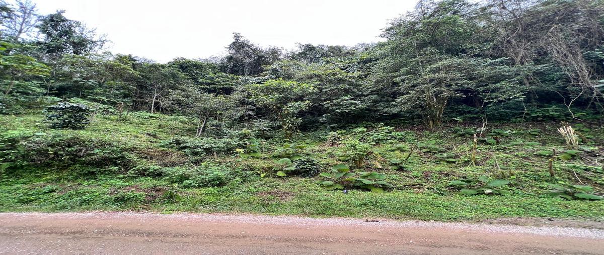 Foto de terreno habitacional en venta en  , tlatlauquitepec, tlatlauquitepec, puebla, 29461061 No. 03