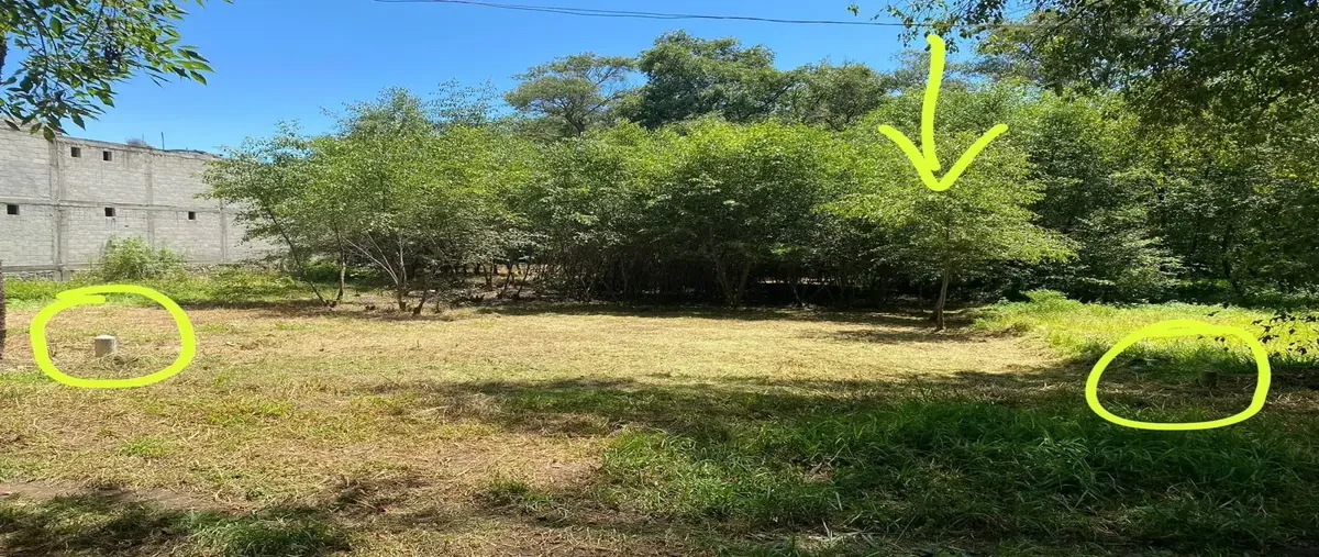 Foto de terreno habitacional en venta en tlaxcala 101, xicohtzingo, xicohtzinco, tlaxcala, 0 No. 03