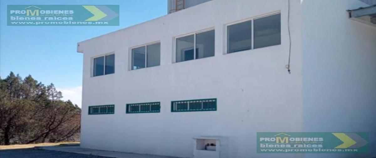 Foto de oficina en renta en  , tlaxcala centro, tlaxcala, tlaxcala, 0 No. 05