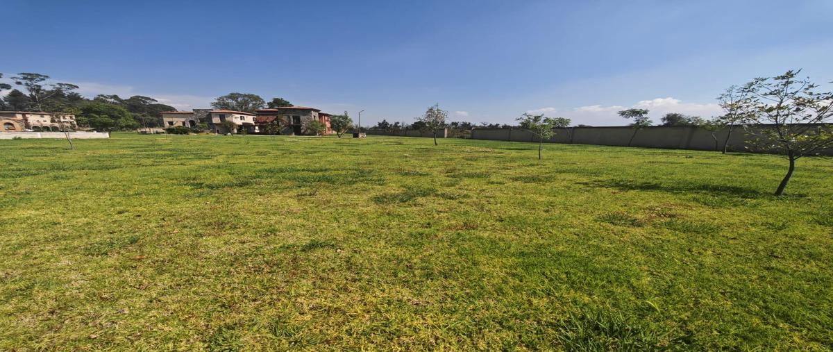 Foto de terreno habitacional en venta en  , tlaxcala centro, tlaxcala, tlaxcala, 30551344 No. 05