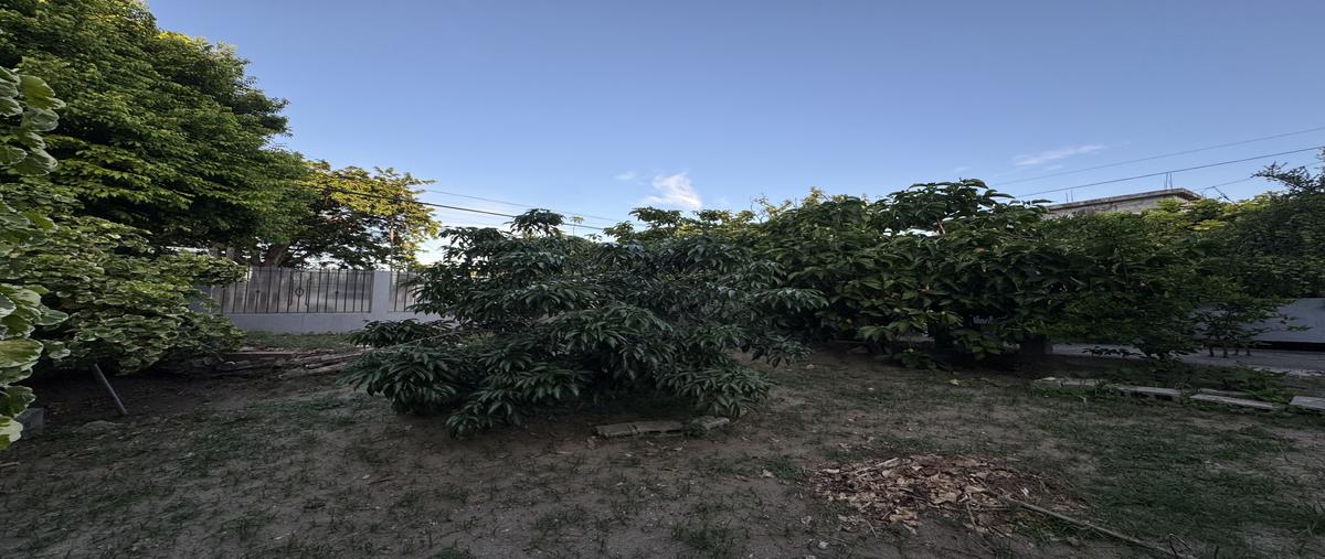Foto de casa en venta en tlaxcala , méxico, tampico, tamaulipas, 30143862 No. 15