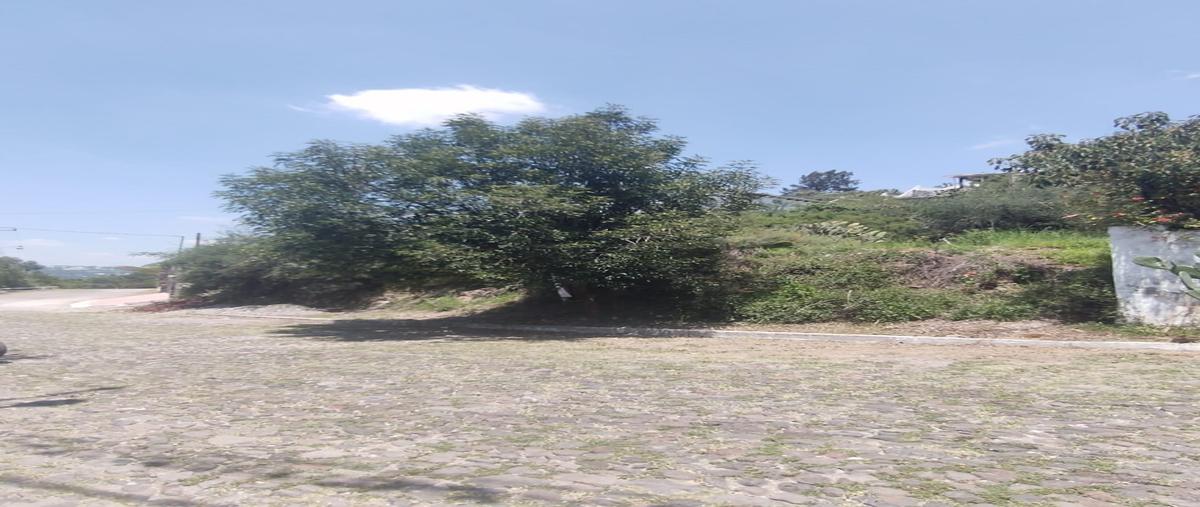 Foto de terreno habitacional en venta en  , tlaxinacalpan, tepeji del río de ocampo, hidalgo, 26998215 No. 05