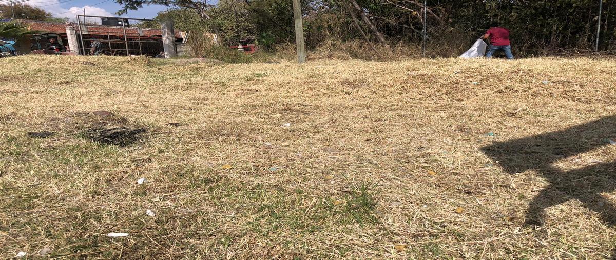 Foto de terreno habitacional en , tlayacapan centro, tlayacapan, morelos, 0 foto 03 Foto de terreno habitacional en venta en , tlayacapan centro, tlayacapan, morelos, 0 No. 03