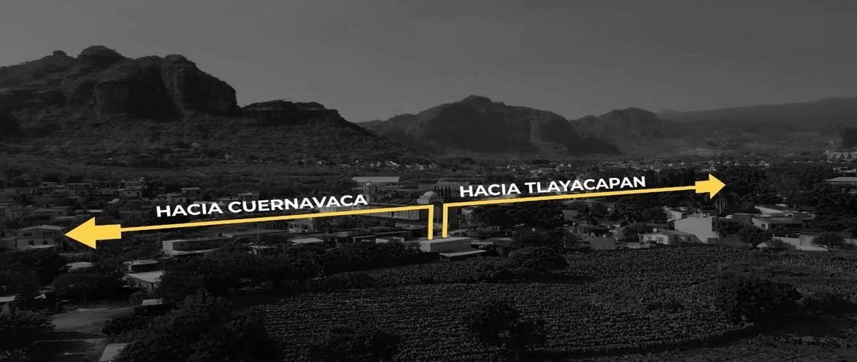 Foto de terreno habitacional en venta en  , tlayacapan centro, tlayacapan, morelos, 29983387 No. 05