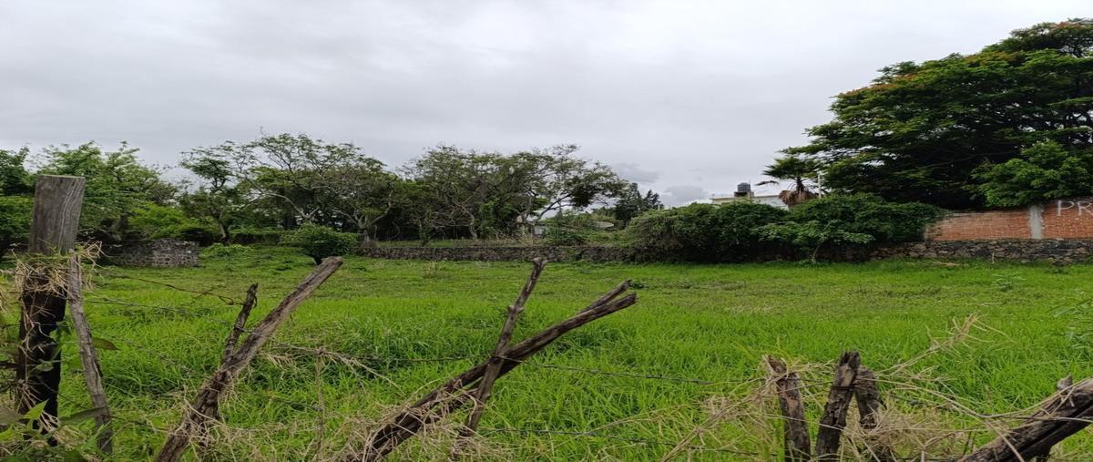 Foto de terreno habitacional en venta en  , tlayacapan centro, tlayacapan, morelos, 30090726 No. 05