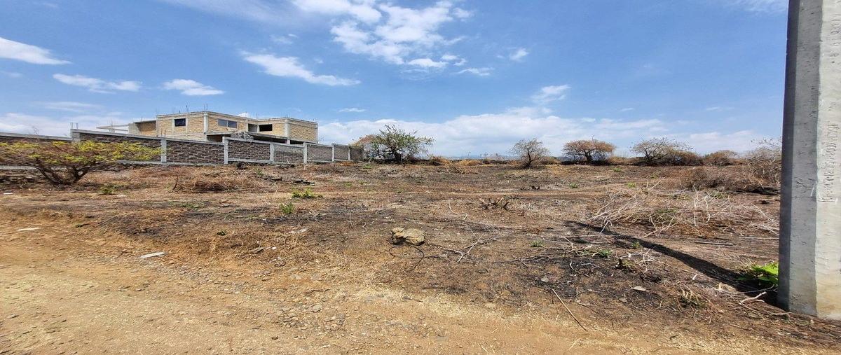 Foto de terreno habitacional en venta en  , tlayacapan centro, tlayacapan, morelos, 0 No. 03