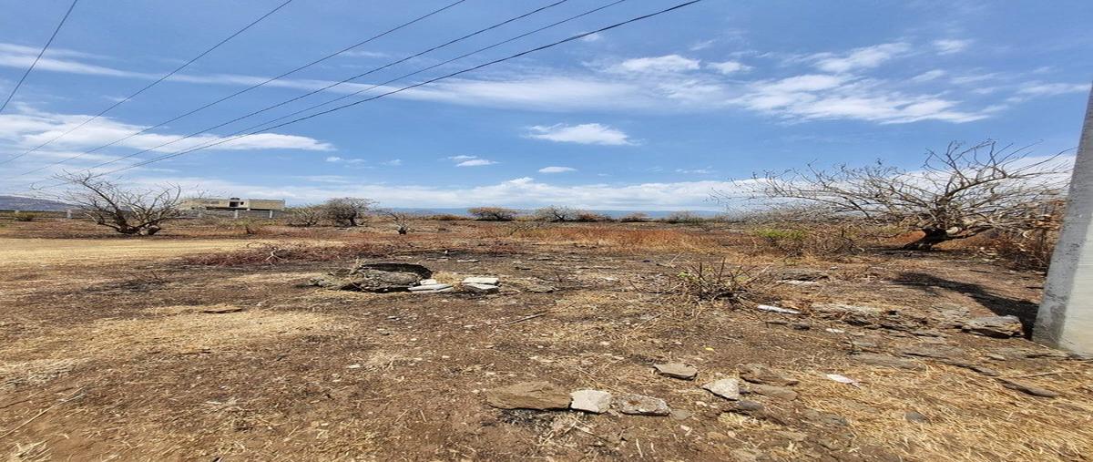 Foto de terreno habitacional en venta en  , tlayacapan centro, tlayacapan, morelos, 0 No. 04