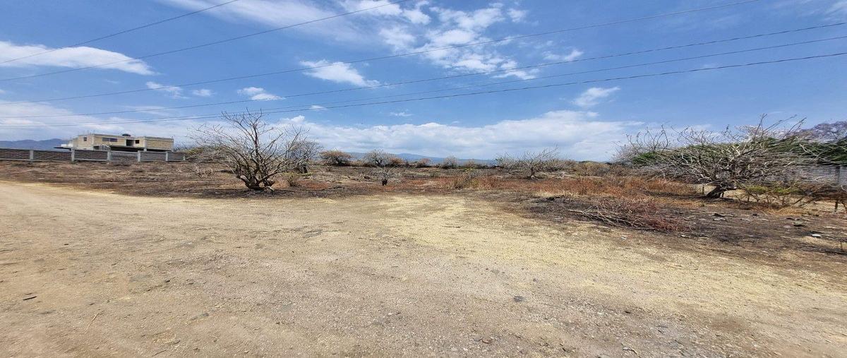 Foto de terreno habitacional en venta en  , tlayacapan centro, tlayacapan, morelos, 0 No. 05