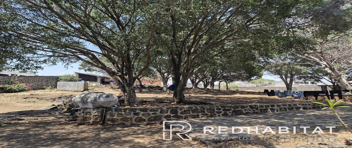 Foto de terreno habitacional en venta en  , tlayacapan centro, tlayacapan, morelos, 0 No. 04