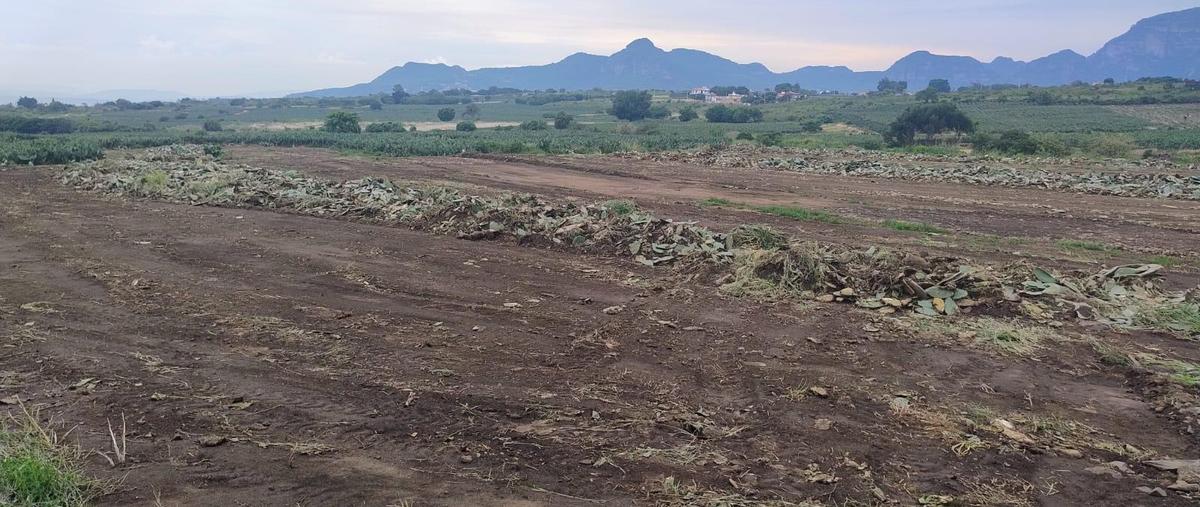 Foto de terreno habitacional en venta en  , tlayacapan centro, tlayacapan, morelos, 0 No. 03