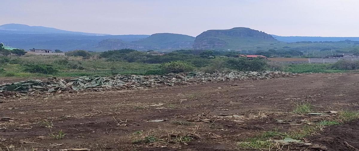 Foto de terreno habitacional en venta en  , tlayacapan centro, tlayacapan, morelos, 0 No. 04
