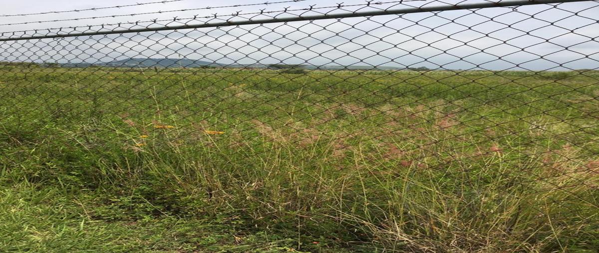 Foto de terreno habitacional en venta en  , tlayacapan centro, tlayacapan, morelos, 0 No. 04