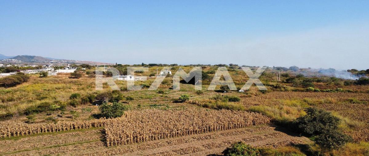 Foto de terreno habitacional en tlayacapan , tlayacapan centro, tlayacapan, morelos, 0 foto 04 Foto de terreno habitacional en venta en tlayacapan , tlayacapan centro, tlayacapan, morelos, 0 No. 04