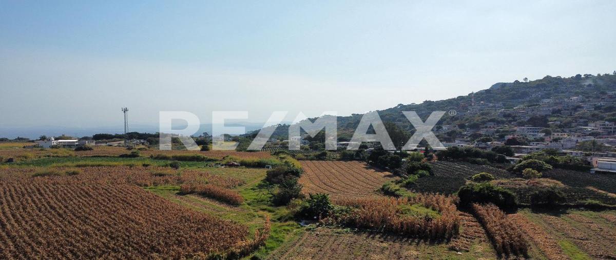 Foto de terreno habitacional en tlayacapan , tlayacapan centro, tlayacapan, morelos, 0 foto 05 Foto de terreno habitacional en venta en tlayacapan , tlayacapan centro, tlayacapan, morelos, 0 No. 05