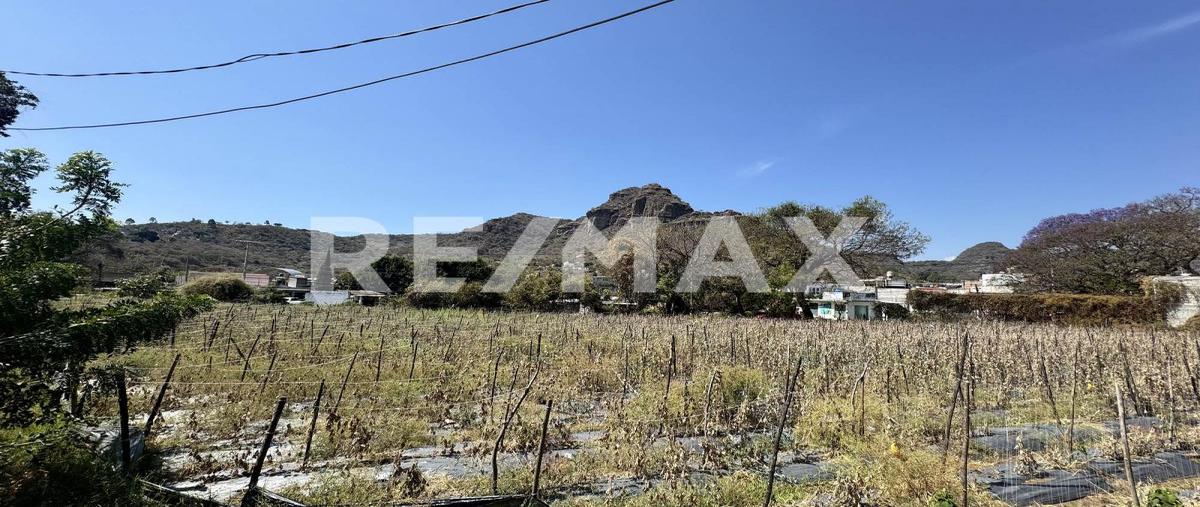 Foto de terreno habitacional en venta en tlayacapan , tlayacapan centro, tlayacapan, morelos, 0 No. 05
