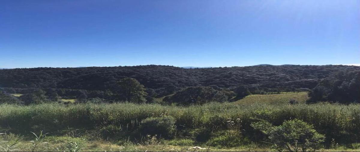 Foto de terreno habitacional en venta en  , tlazala, isidro fabela, méxico, 0 No. 04