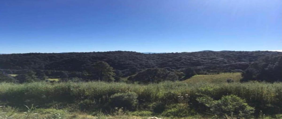 Foto de terreno habitacional en venta en  , tlazala, isidro fabela, méxico, 0 No. 03