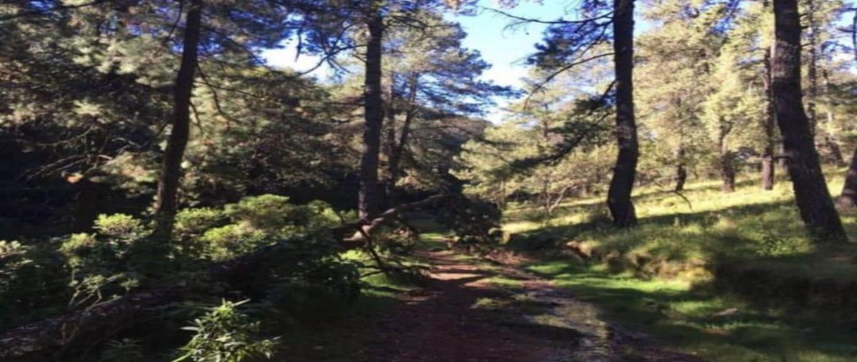 Foto de terreno habitacional en venta en  , tlazala, isidro fabela, méxico, 0 No. 04